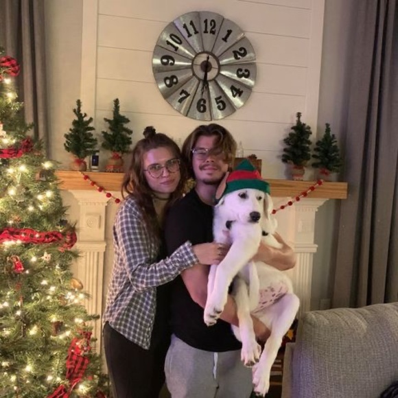 Meet your Posher, Oliver - Picture 1 of 1